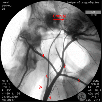 Fig. 5