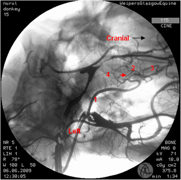 Fig. 8