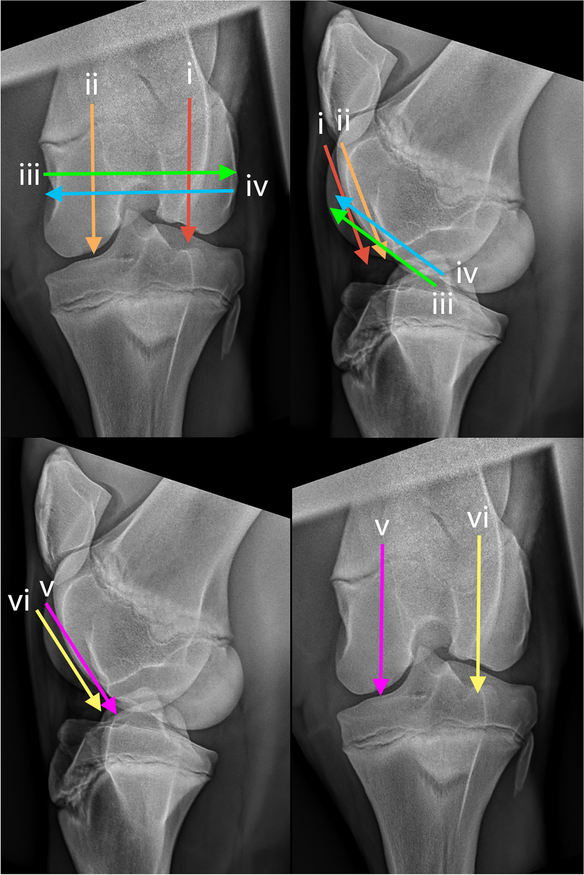 Fig. 25