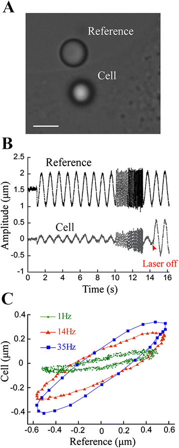 Fig. 3