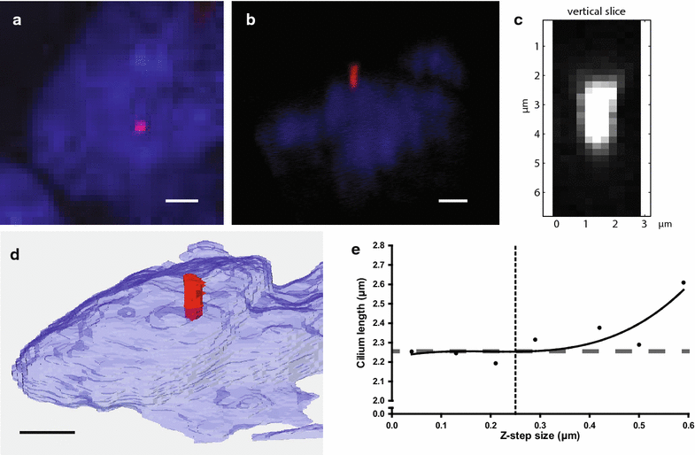 Fig. 2