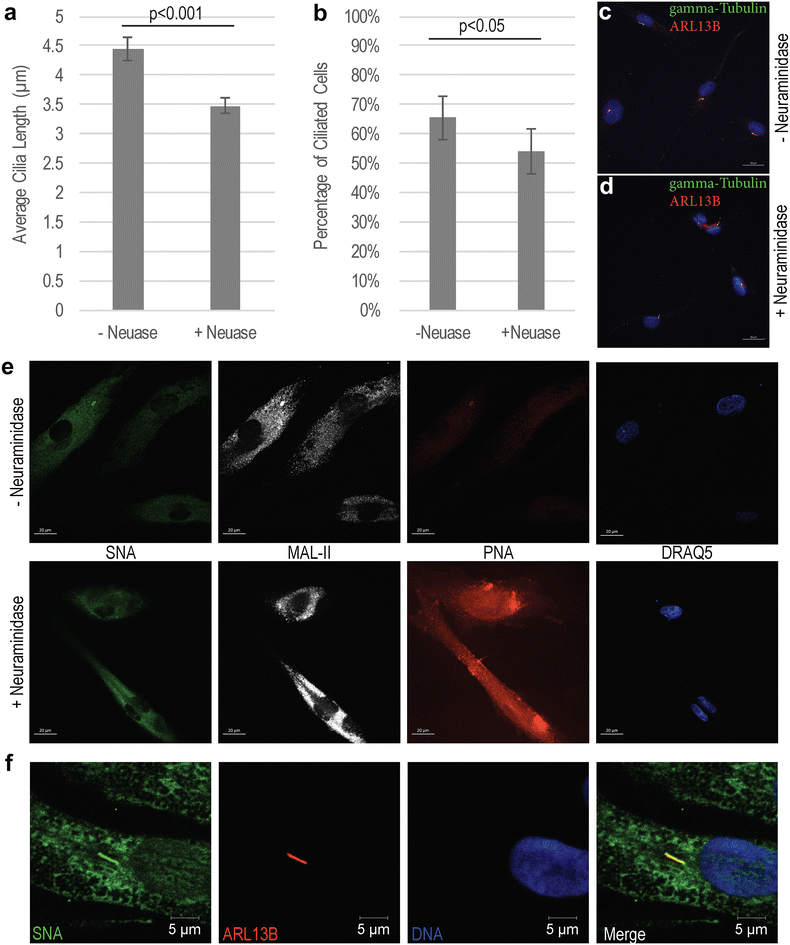 Fig. 6