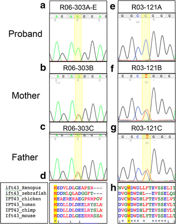 Fig. 2