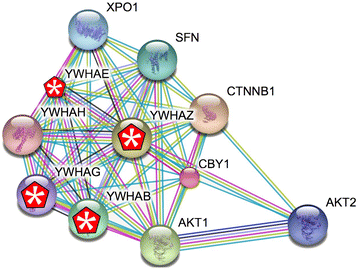 Fig. 2