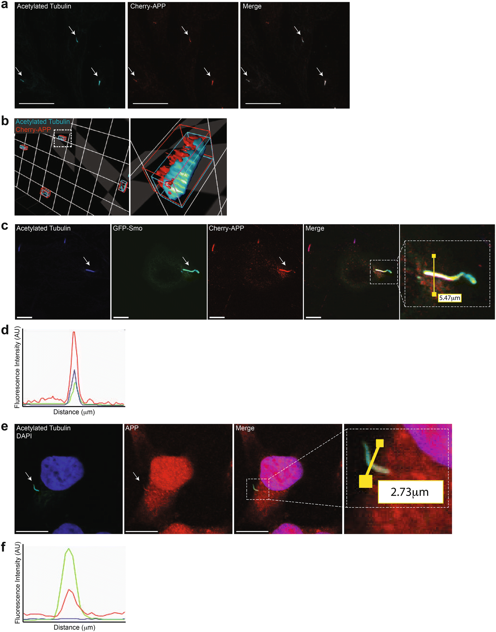 Fig. 4