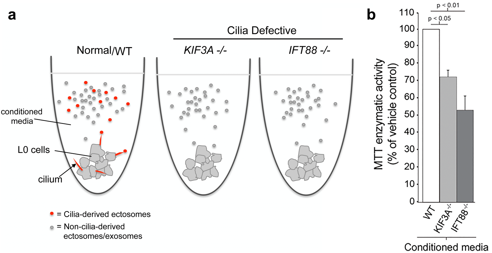 Fig. 7