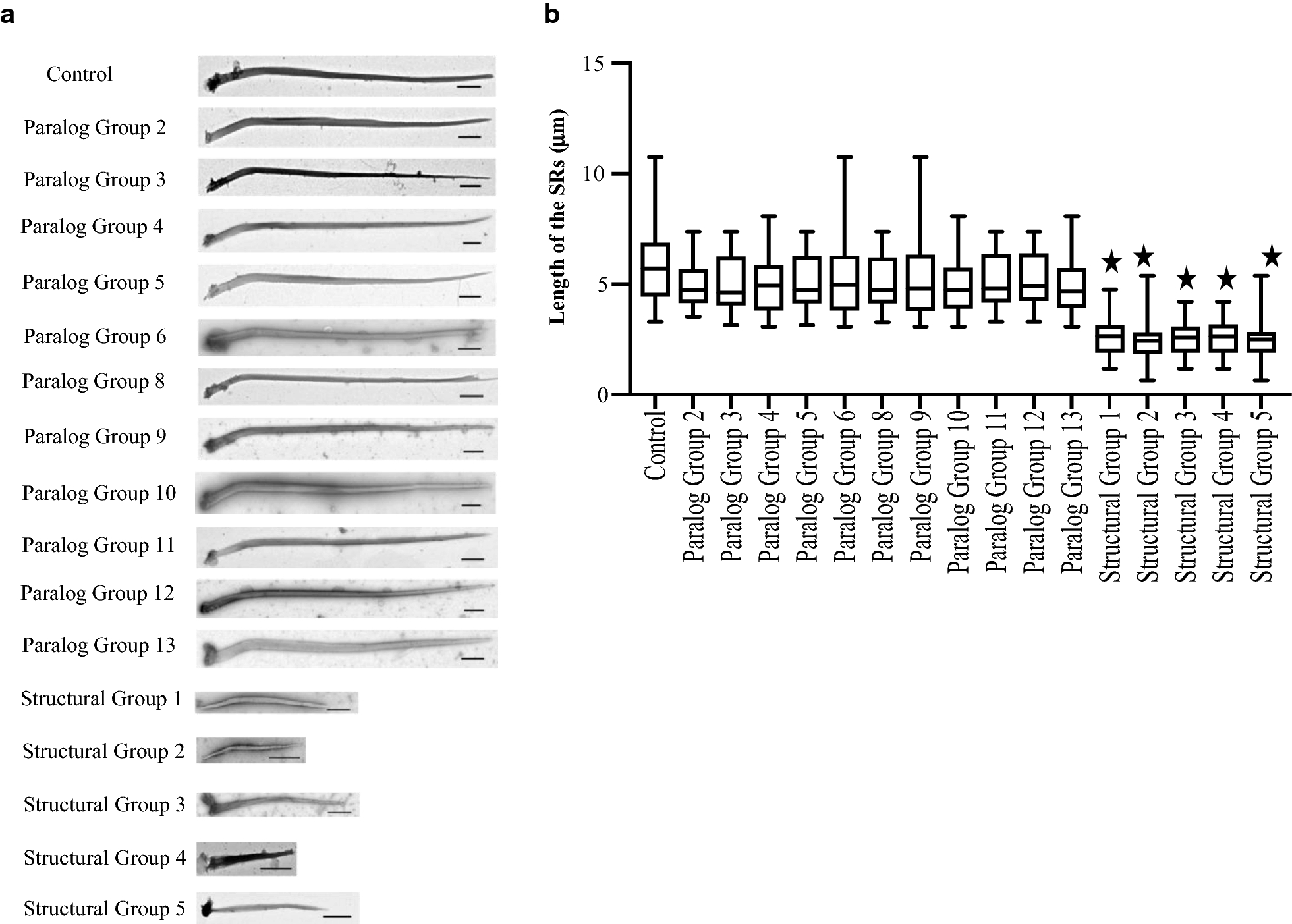 Fig. 11