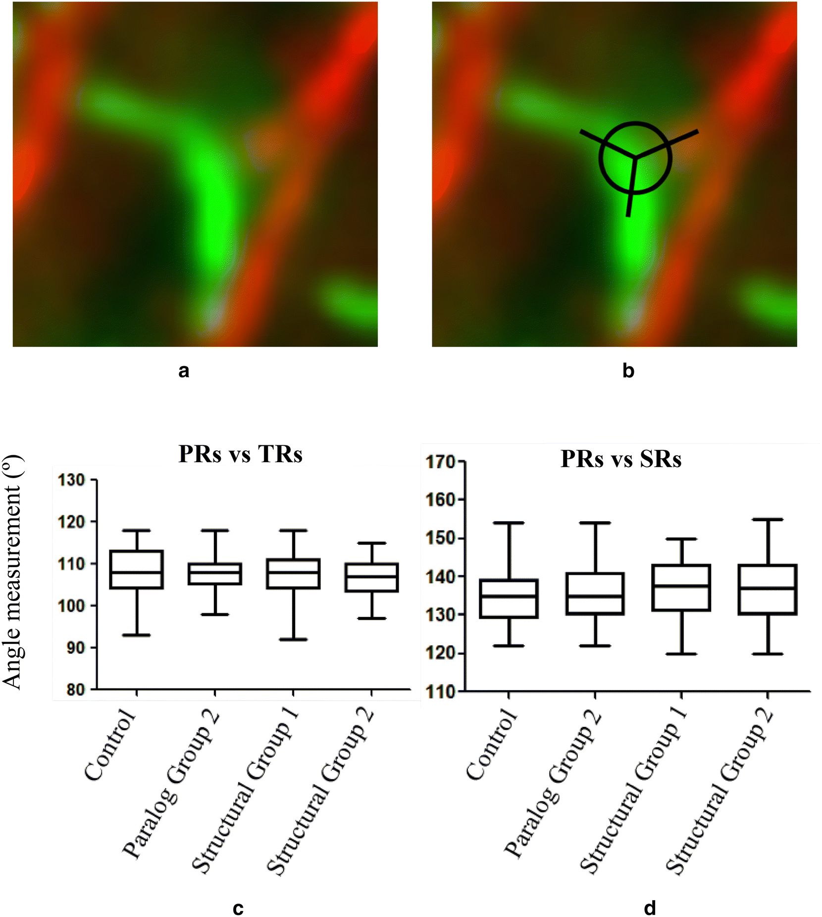 Fig. 9