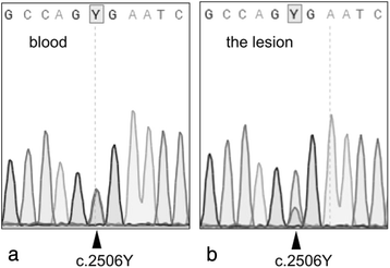 Fig. 5