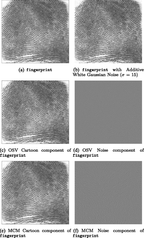 Fig. 5