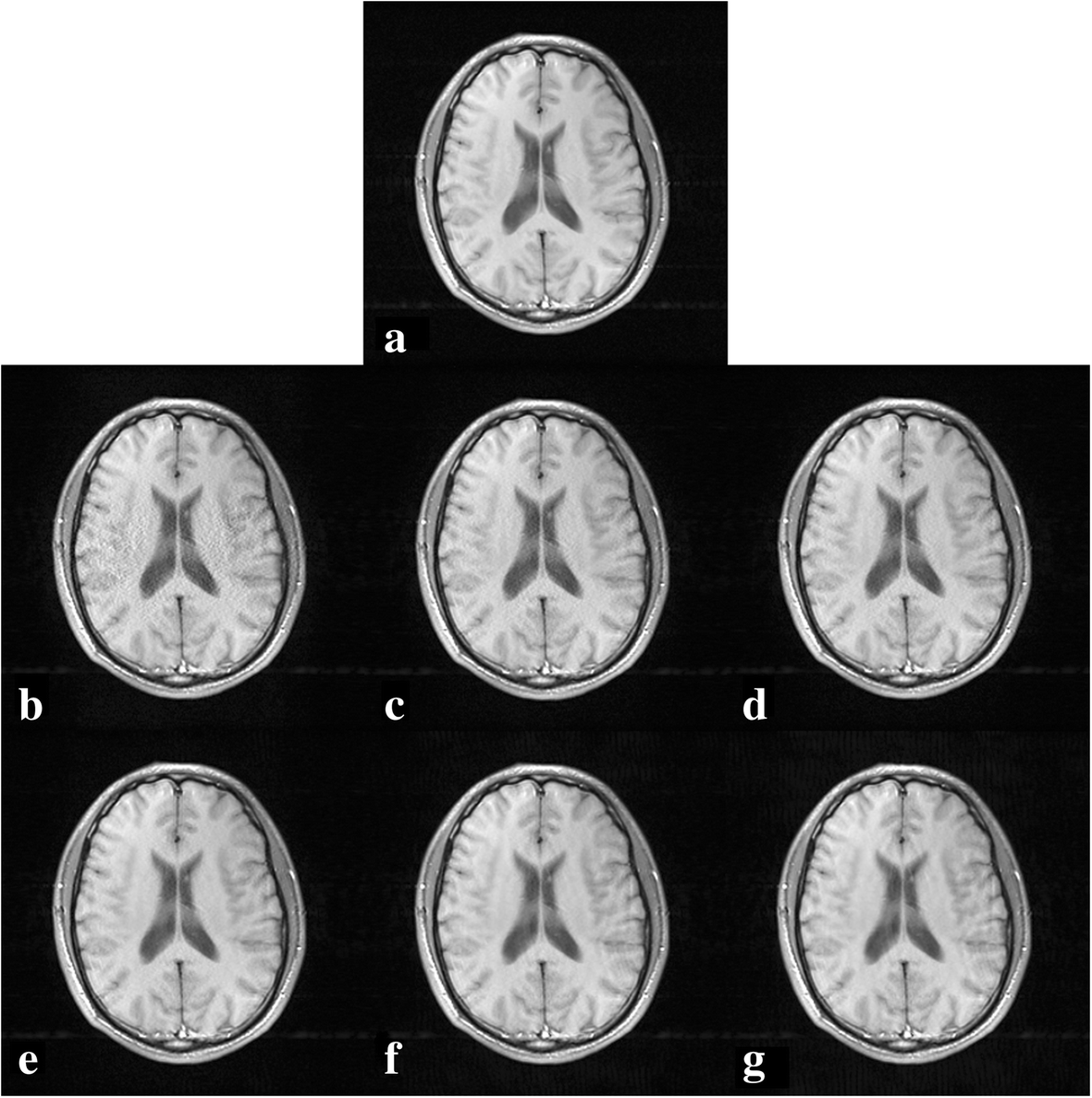 Fig. 5