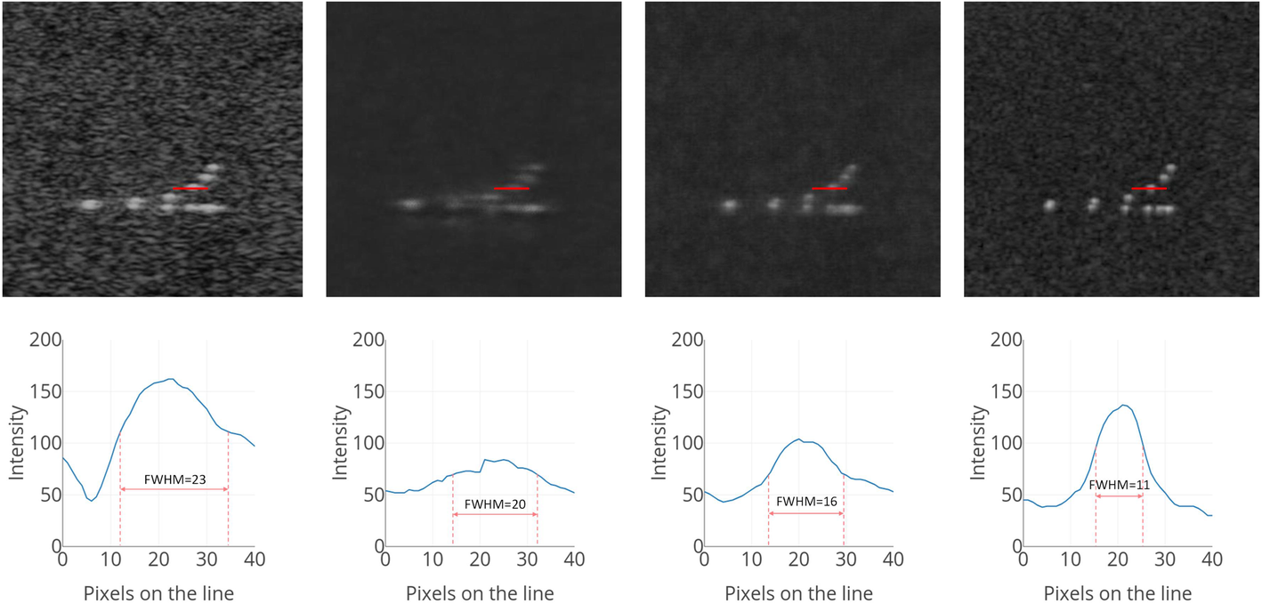 Fig. 10