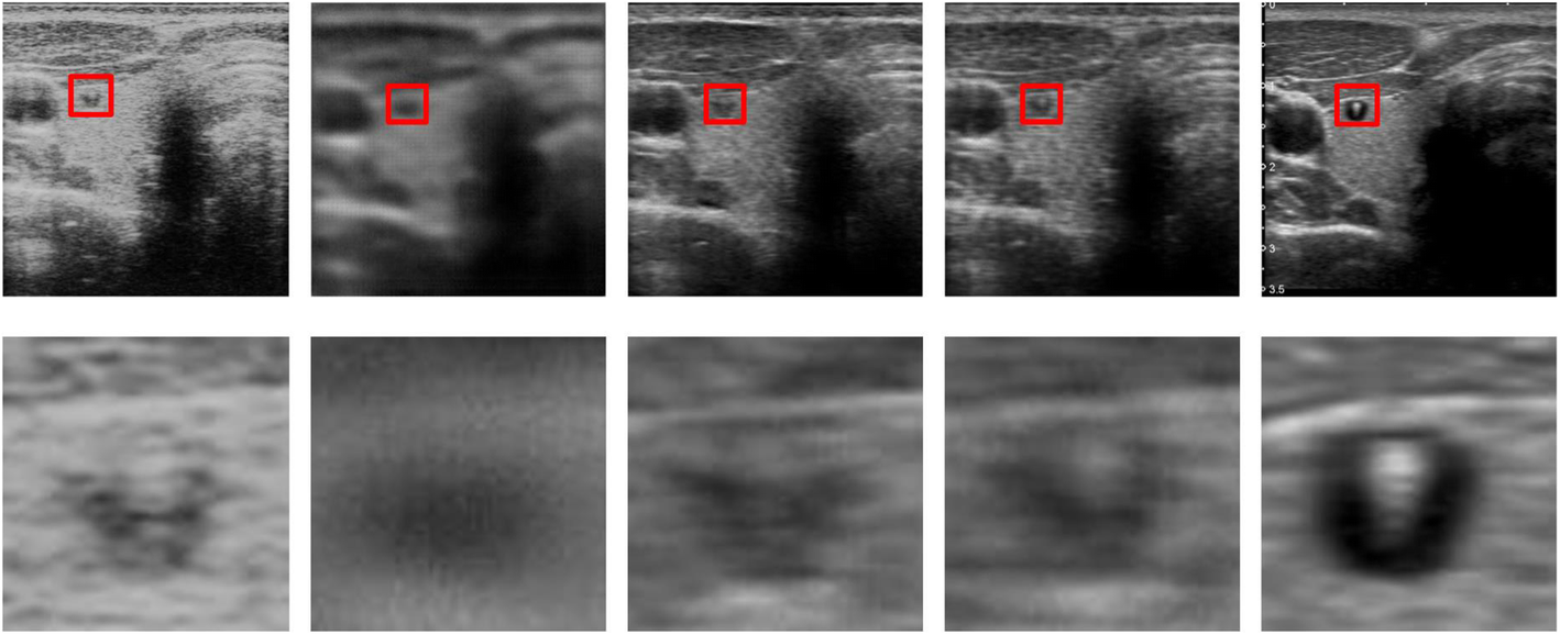 Fig. 8