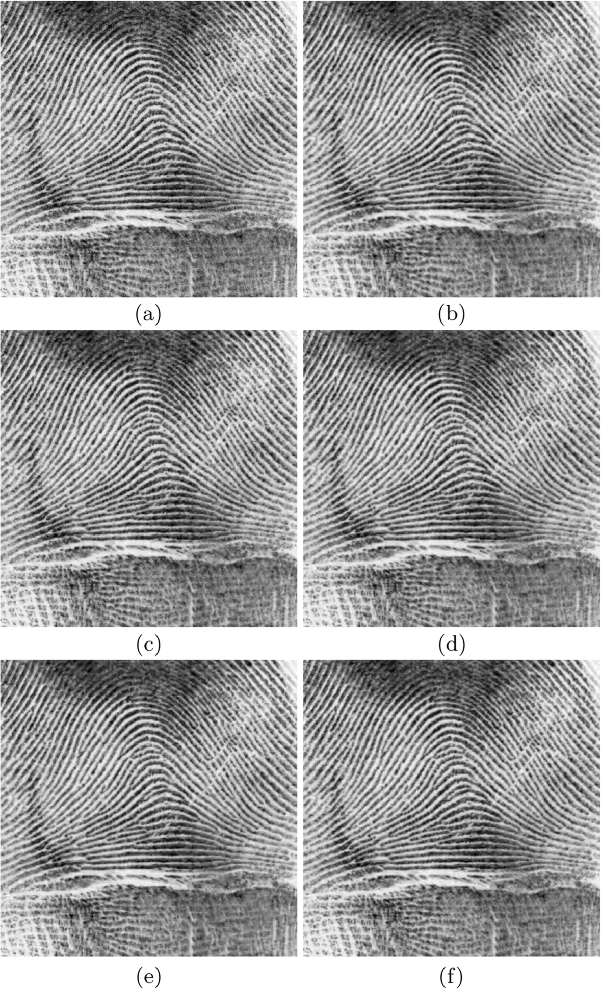 Fig. 15