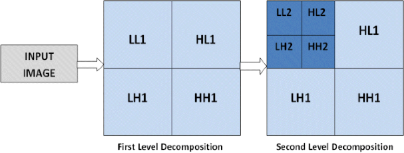 Fig. 2