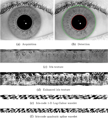 Fig. 5