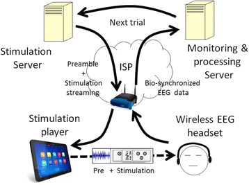 Fig. 3