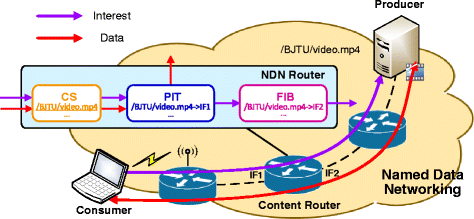 Fig. 1