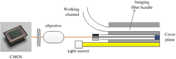 Fig. 1