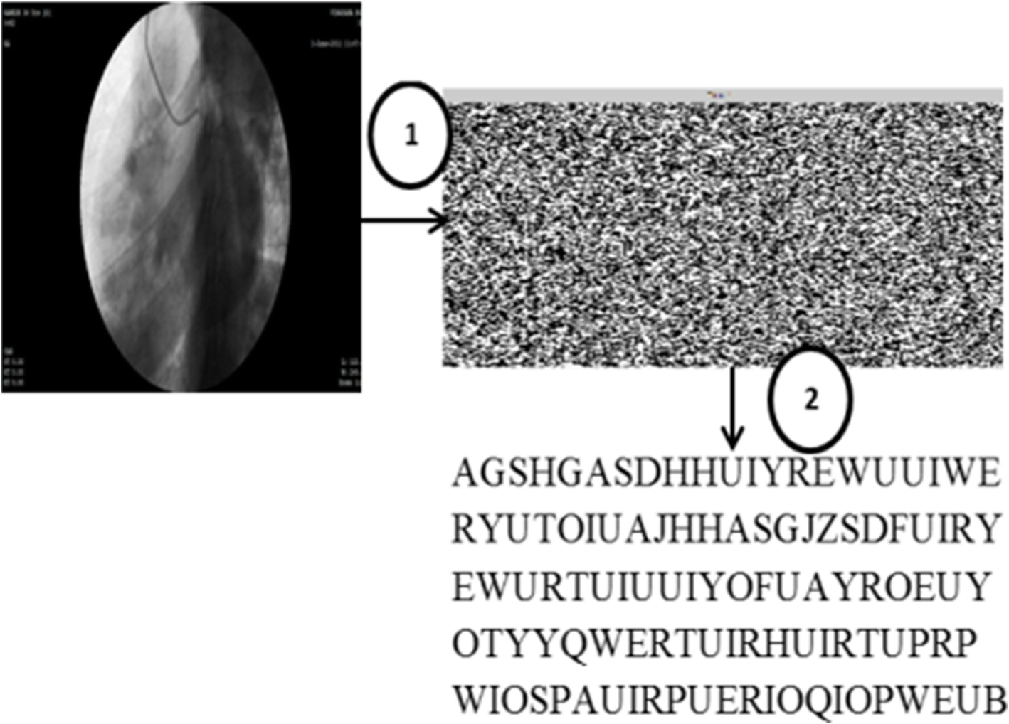 Fig. 7