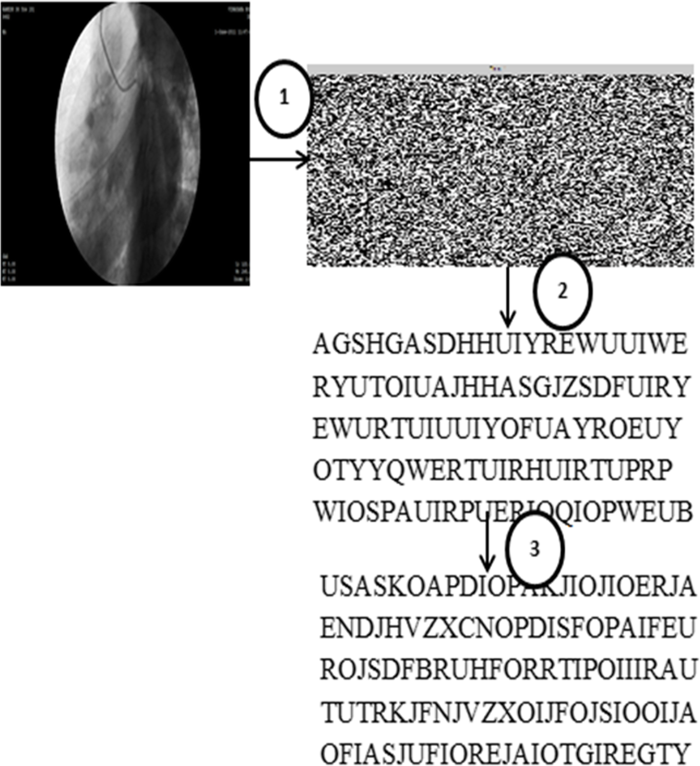 Fig. 8