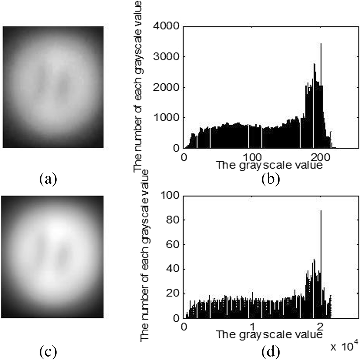 Fig. 4