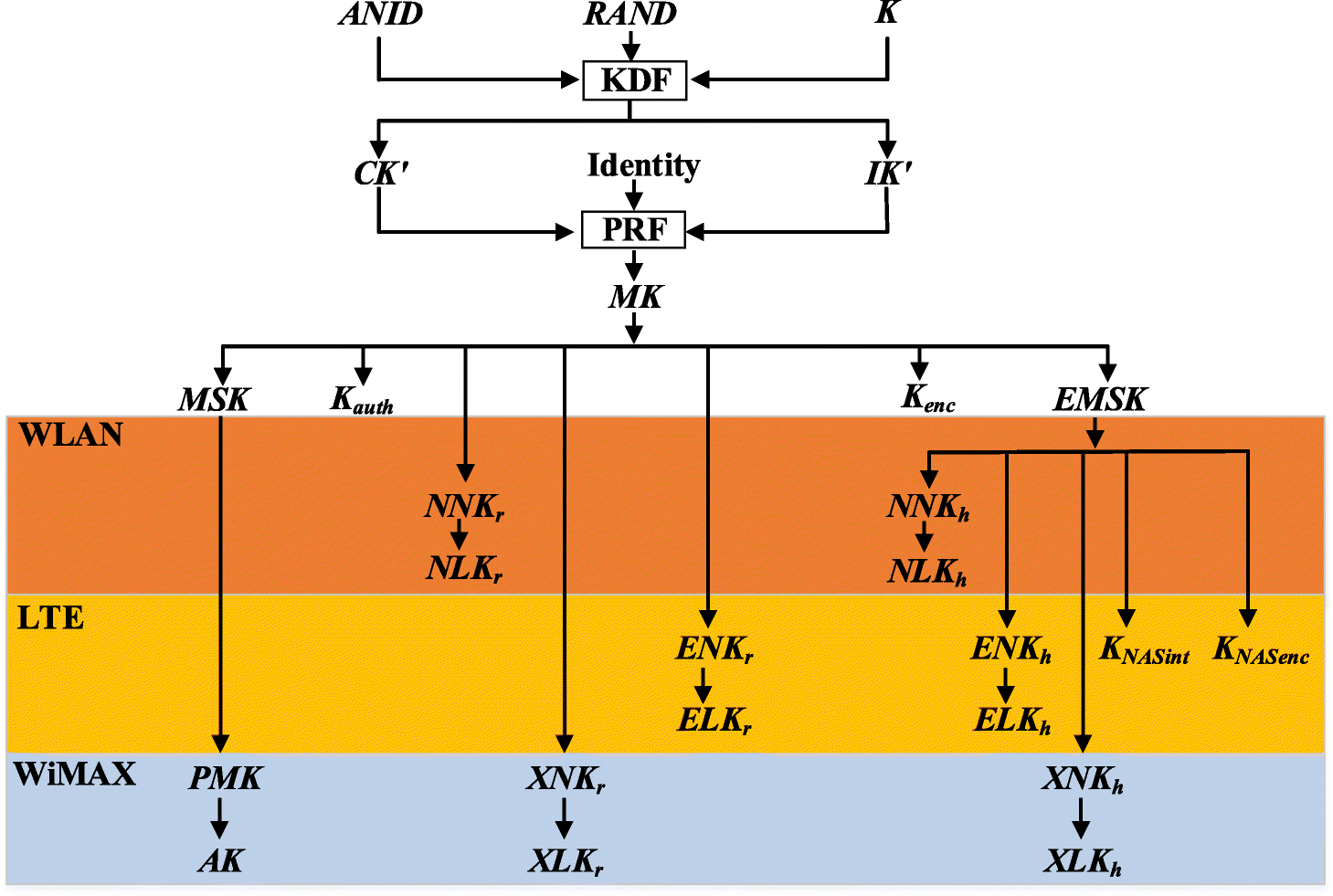 Fig. 2