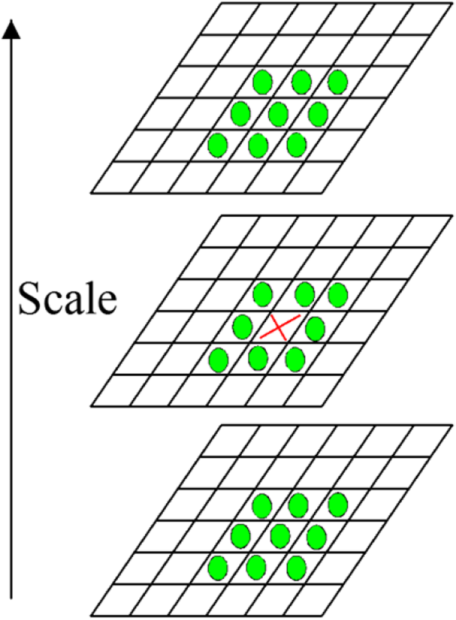 Fig. 7