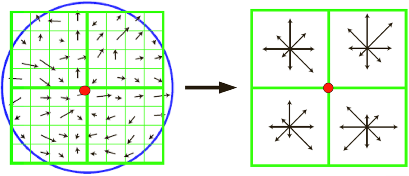 Fig. 9