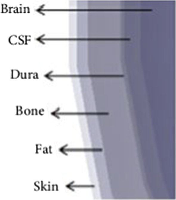 Fig. 8