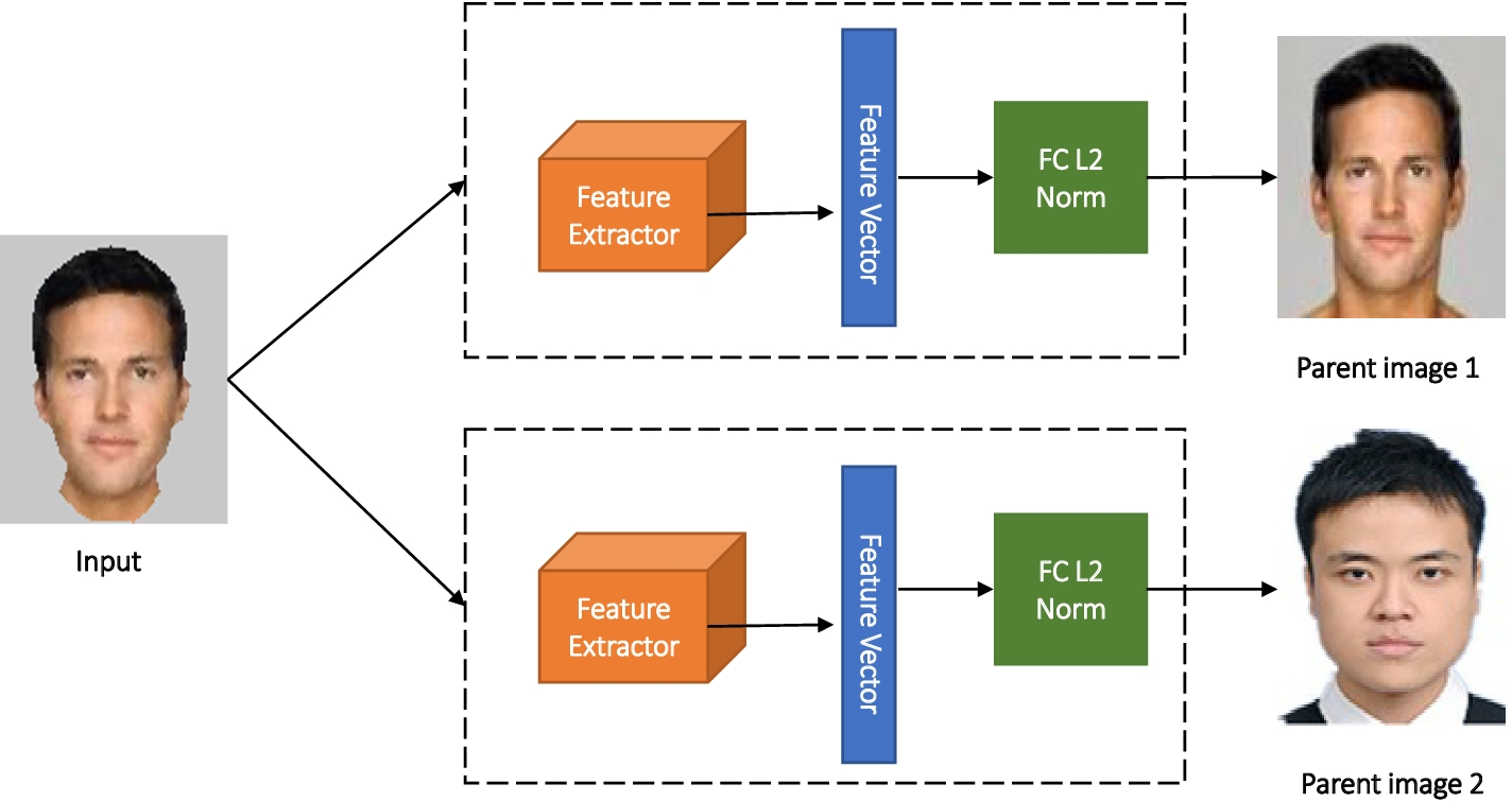 Fig. 7