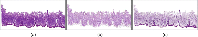 Fig. 10