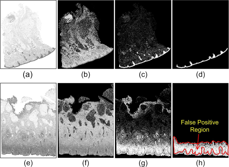 Fig. 4