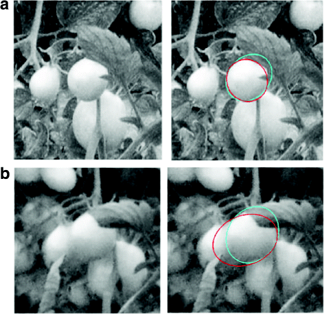 Fig. 16