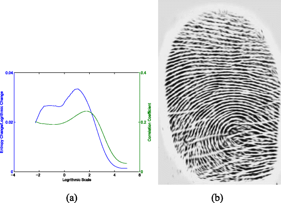 Fig. 13