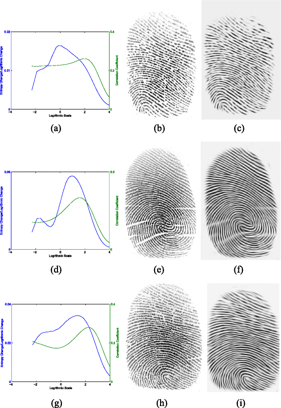 Fig. 15