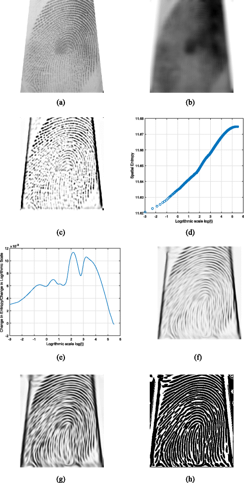 Fig. 16