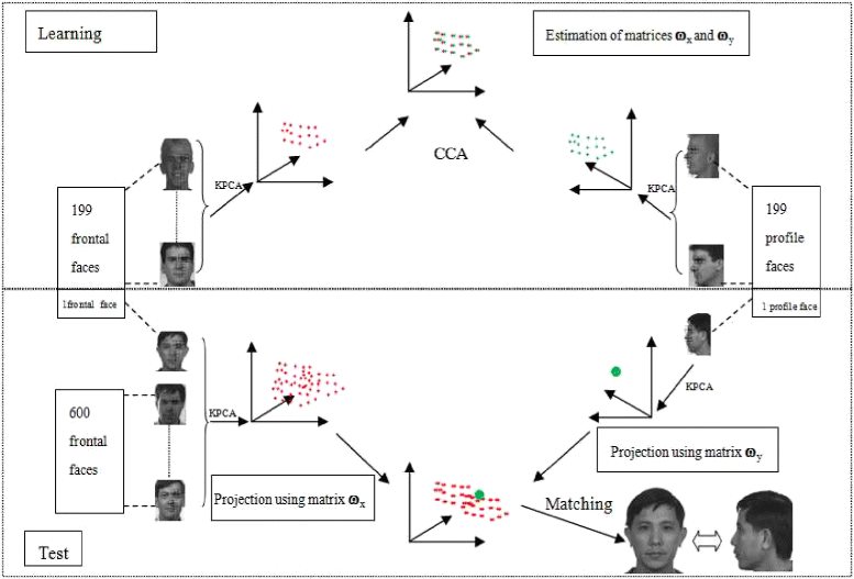 Fig. 10