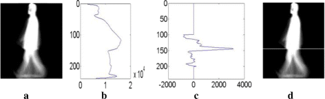 Fig. 10