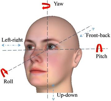 Fig. 1