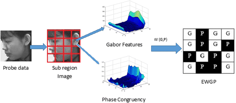 Fig. 2