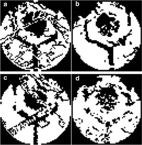 Fig. 8