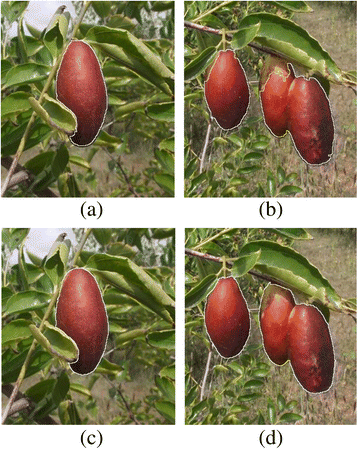 Fig. 15