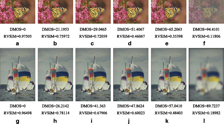 Fig. 7