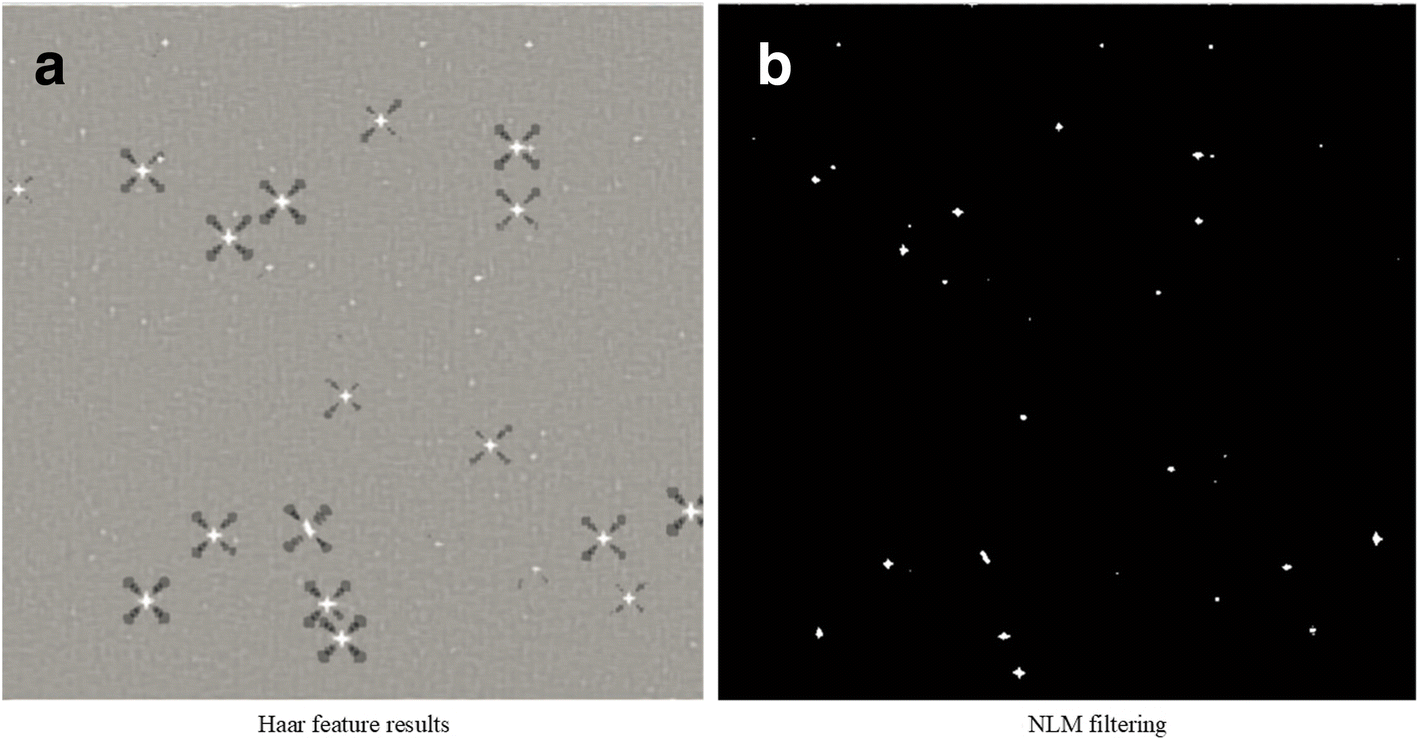 Fig. 25