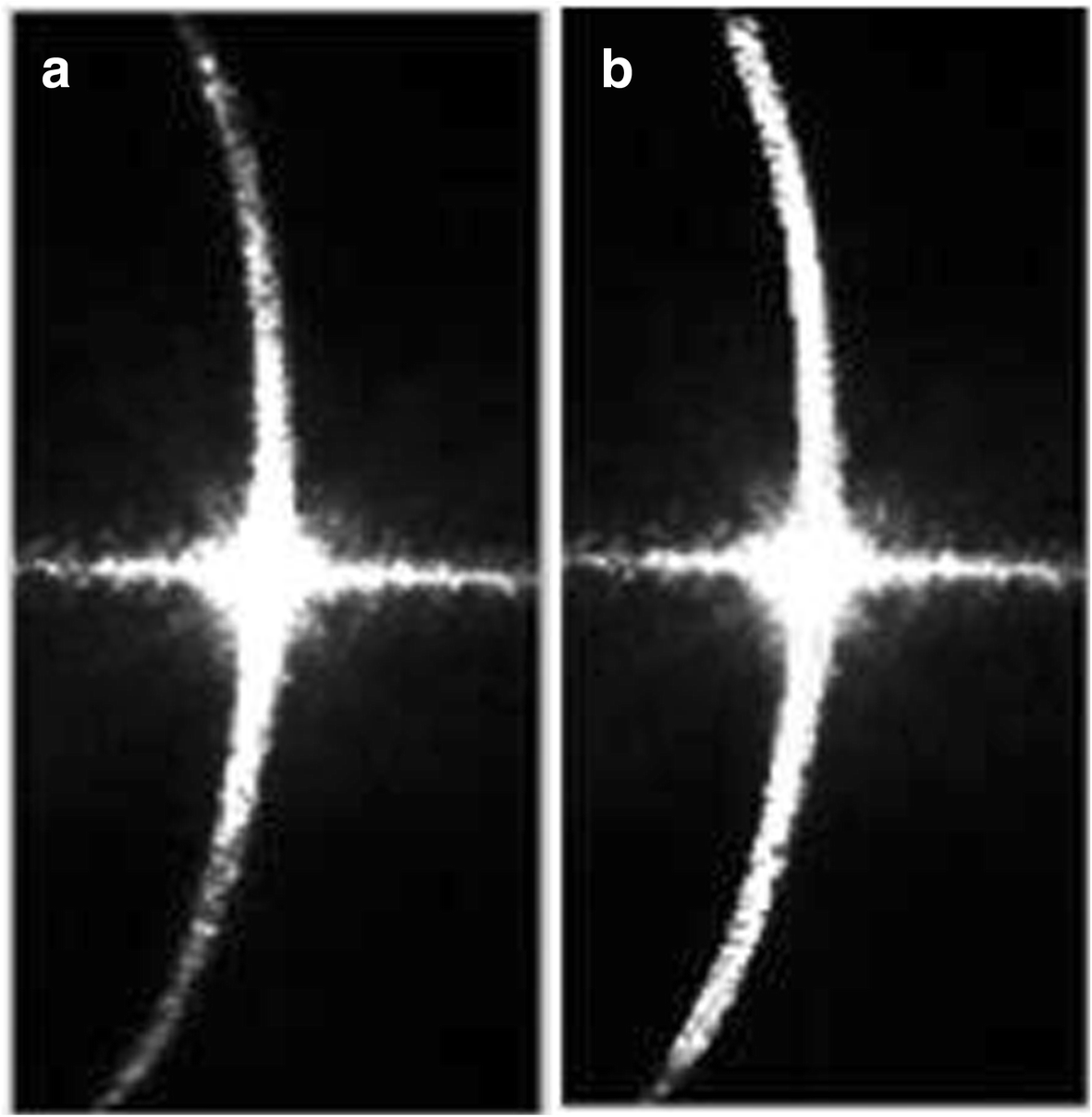 Fig. 10