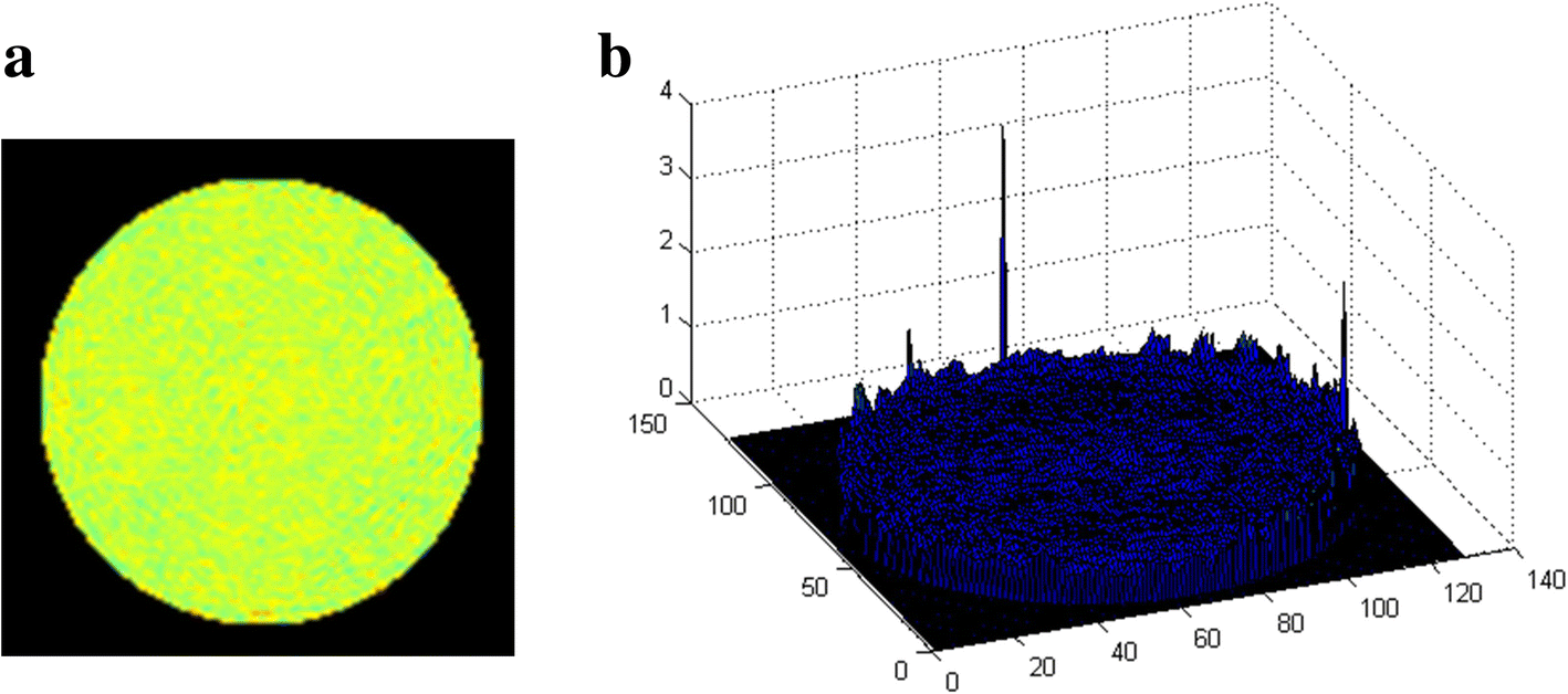 Fig. 3