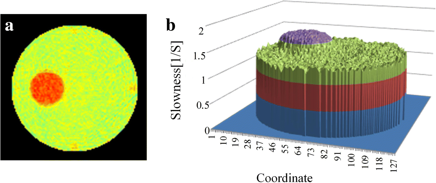 Fig. 6