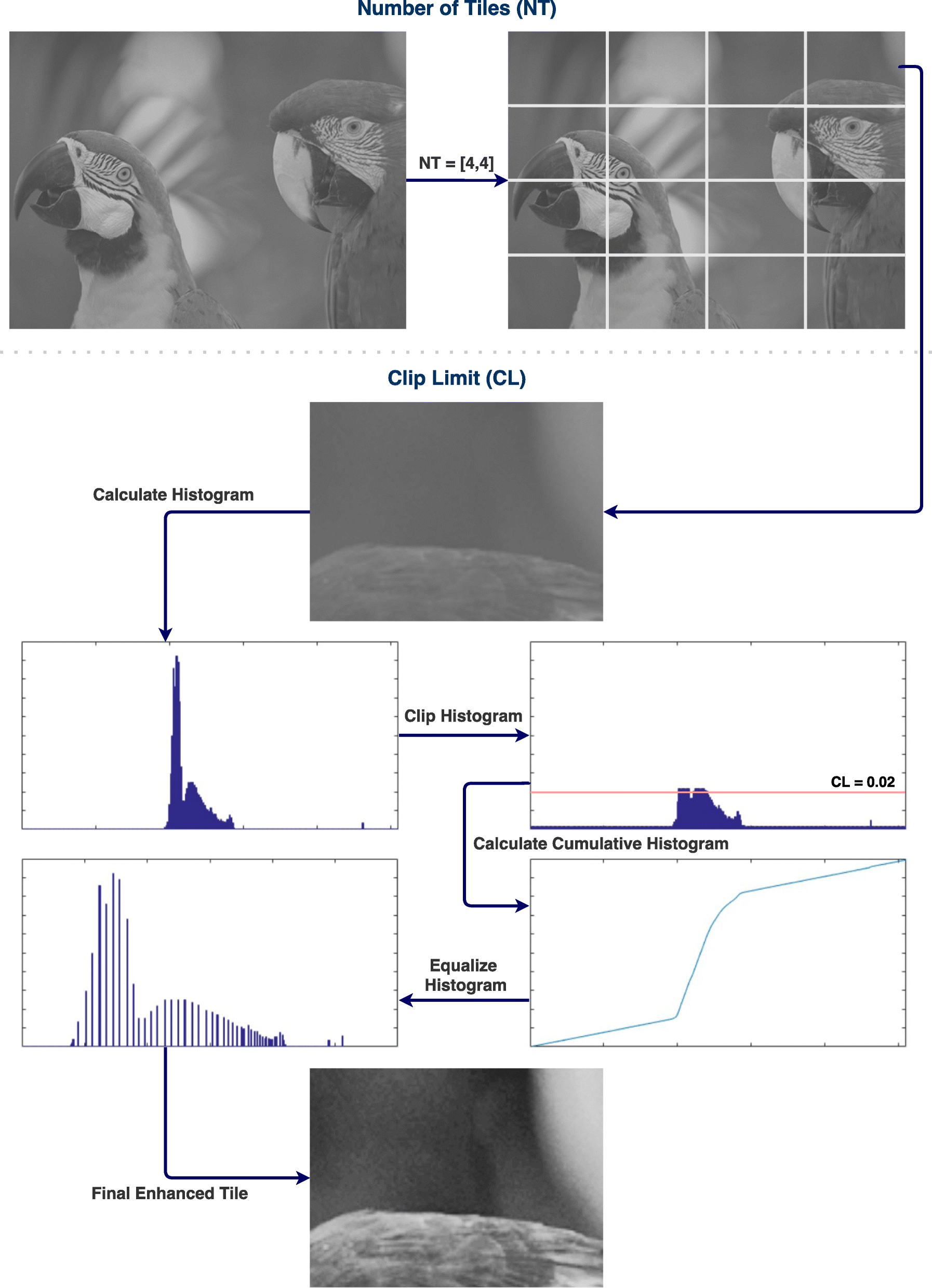 Fig. 1