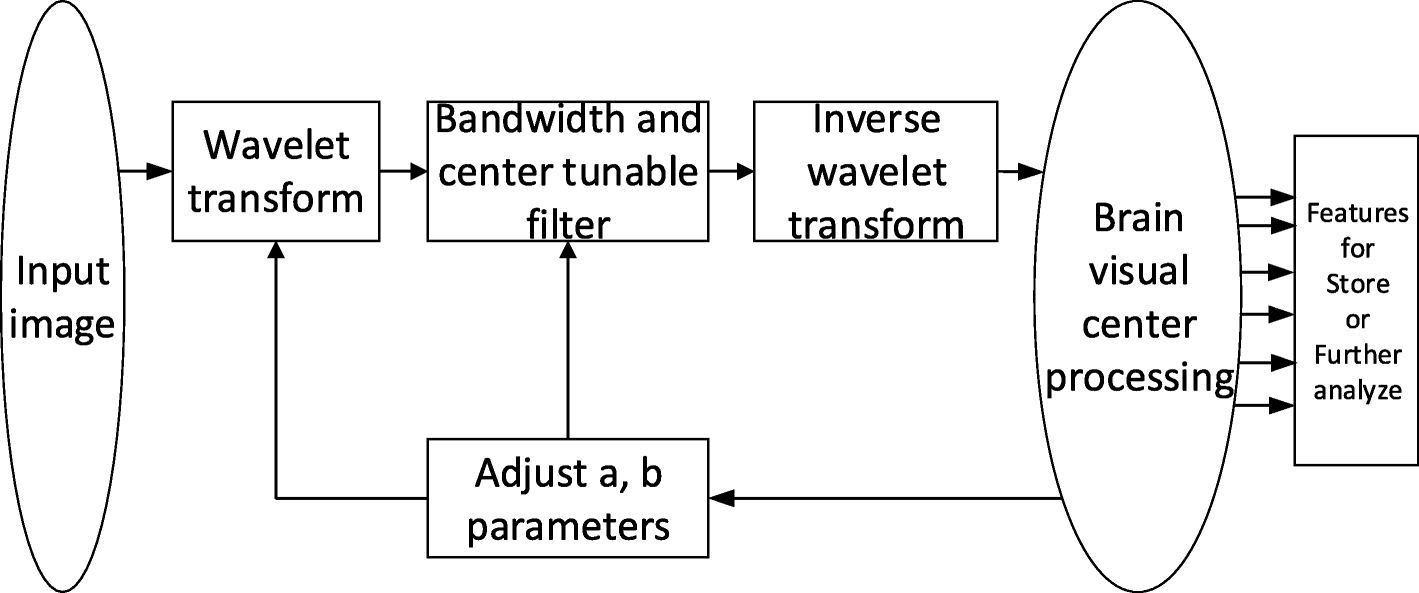 Fig. 6